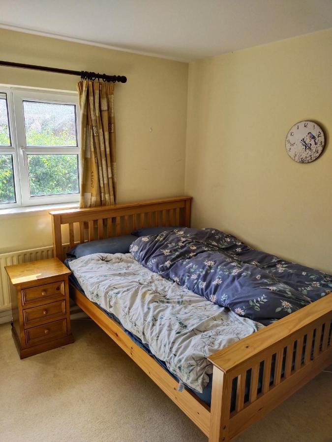 Crescent Apartments Homestay Cork Extérieur photo